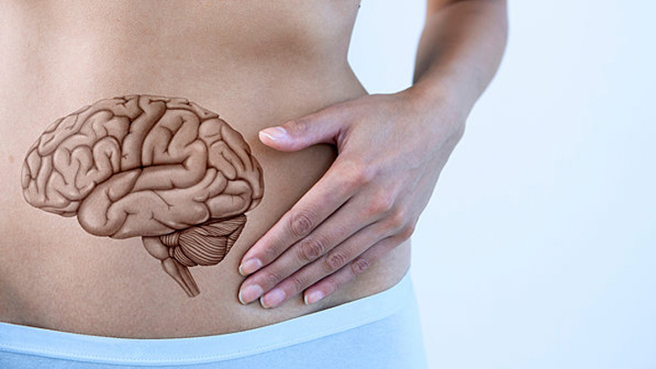 11 & 11+_ ECO-INTELLIGENT LIFESTYLE TUTOR (Gut-Brain Health)