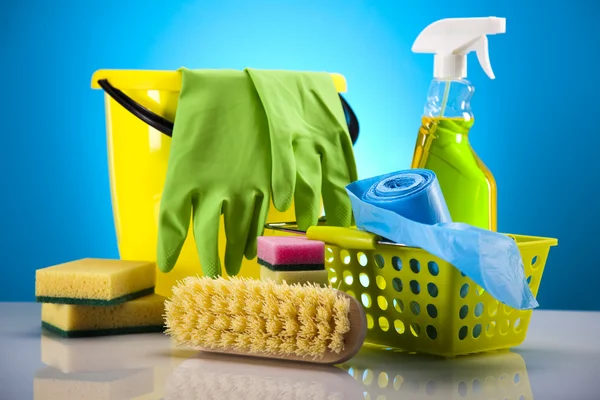18_ECO-INTELLIGENT LIFESTYLE TUTOR (Eco-Conscious Home Care)