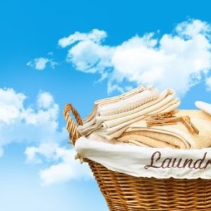 19_ ECO-INTELLIGENT LIFESTYLE TUTOR (Non-Toxic Laundry & Clothing)