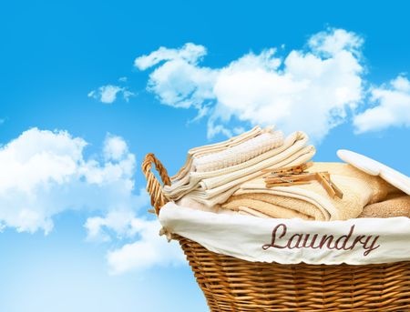 19_ ECO-INTELLIGENT LIFESTYLE TUTOR (Non-Toxic Laundry & Clothing)