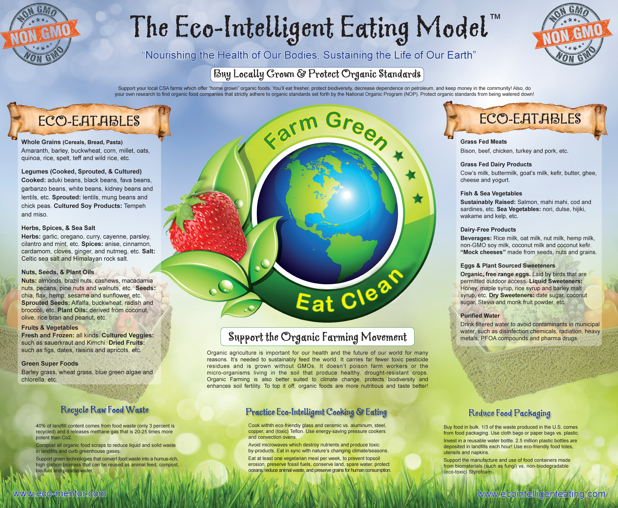 2_ECO-INTELLIGENT LIFESTYLE TUTOR (Eco-Intelligent Eating Model)