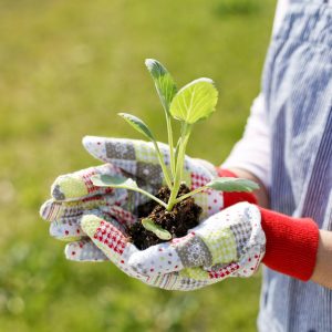 3_ ECO-INTELLIGENT LIFESTYLE TUTOR (Eco-Farming & Earth Care)