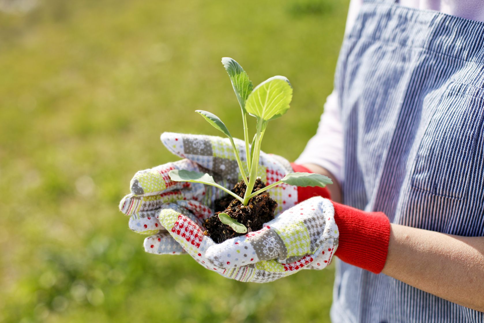 3_ ECO-INTELLIGENT LIFESTYLE TUTOR (Eco-Farming & Earth Care)