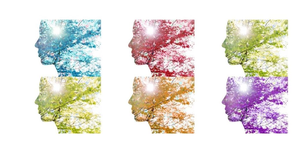 Tutor Course Bundle Archive - Eco learning Legacies Cources