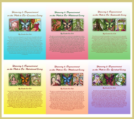 0 ECO-MENTOR ACTIVIST PRELUDE Nourish Eco-Intelligence, Transform Your Health and the Planet’s