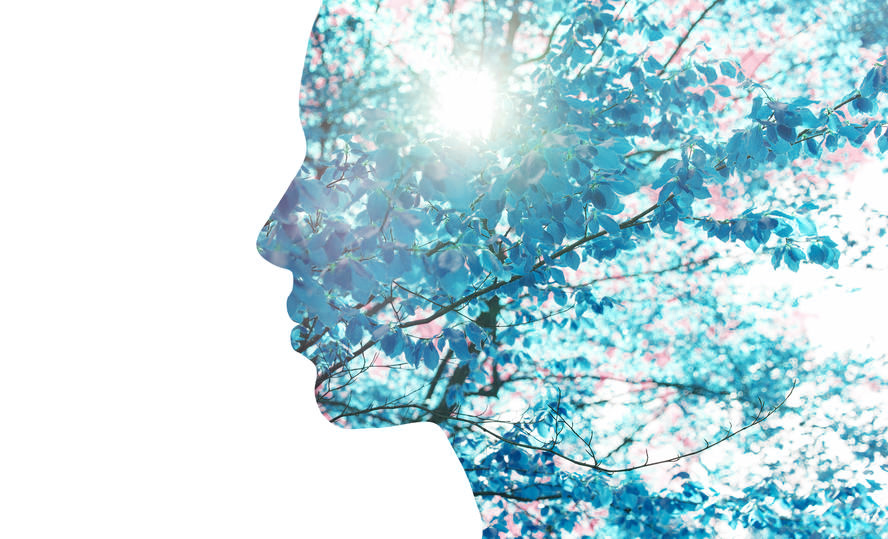 1 & 1X ACTIVIST BONUS (Self-Empowerment on the Path to Eco-Conscious Living)
