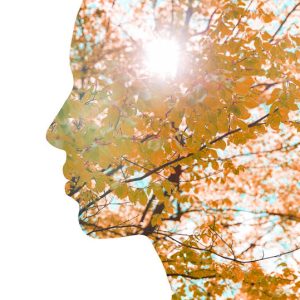 5 & 5X ACTIVIST BONUS (Self-Empowerment on the Path to Eco-Medicinal Living)
