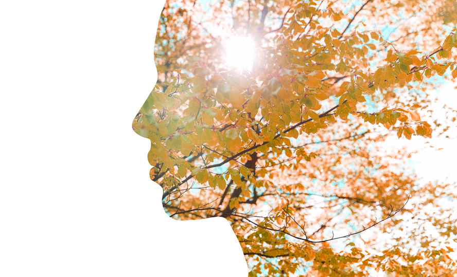 5 & 5X ACTIVIST BONUS (Self-Empowerment on the Path to Eco-Medicinal Living)