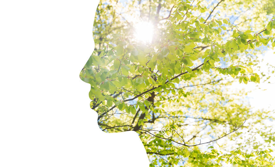 4 & 4X ACTIVIST BONUS (Self-Empowerment on the Path to Eco-Nutritional Living)