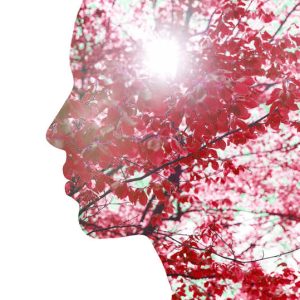 2 & 2X ACTIVIST BONUS (Self-Empowerment on the Path to Eco-Relational Living)
