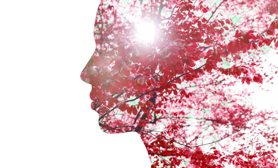 2 & 2X ACTIVIST BONUS (Self-Empowerment on the Path to Eco-Relational Living)