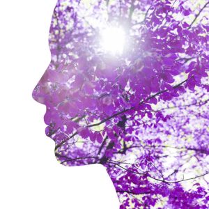 6 & 6X ACTIVIST BONUS (Self-Empowerment on the Path to Eco-Spiritual Living)