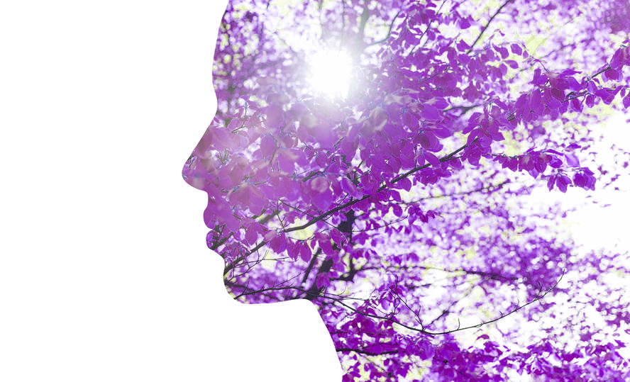6 & 6X ACTIVIST BONUS (Self-Empowerment on the Path to Eco-Spiritual Living)