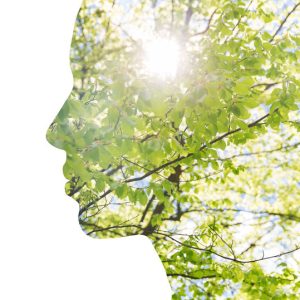 3 & 3X ACTIVIST BONUS (Self-Empowerment on the Path to Eco-Sustainable Living)