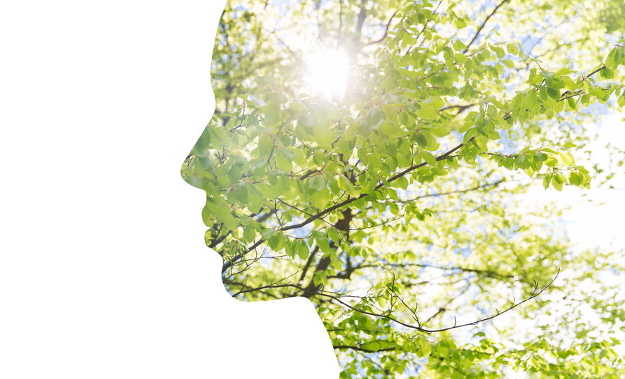 3 & 3X ACTIVIST BONUS (Self-Empowerment on the Path to Eco-Sustainable Living)