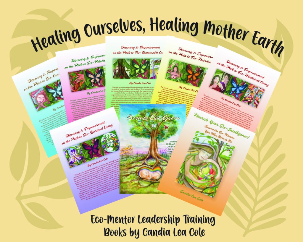 Tutor Course Bundle Archive - Eco learning Legacies Cources