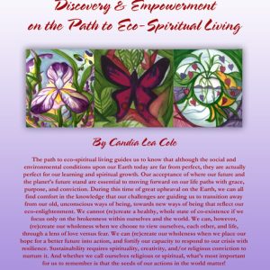 6 & 6X ECO-MENTOR ACTIVIST (Discovery & Empowerment on the Path to Eco-Spiritual Living)