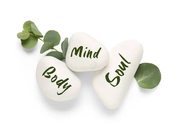 ECO-MENTOR APPRENTICE BONUS #2: Clean, Green Living Infographics