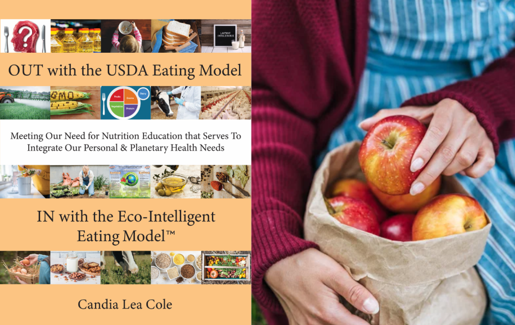 Tutor Course Bundle Archive - Eco learning Legacies Cources